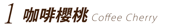 租咖啡機 米啡思 咖啡豆 商用咖啡豆 半自動咖啡機 全自動咖啡機 咖啡服務
