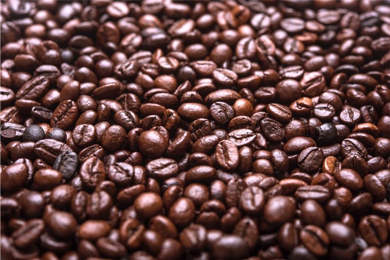 租咖啡機 米啡思 莊園咖啡豆 咖啡豆 半自動咖啡機 全自動咖啡機