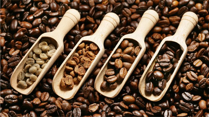 租咖啡機 米啡思 莊園咖啡豆 咖啡豆 半自動咖啡機 全自動咖啡機